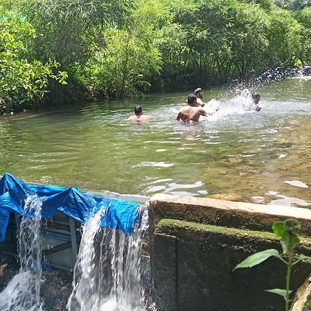 Tharayil Farm Stay 바가몬 외부 사진