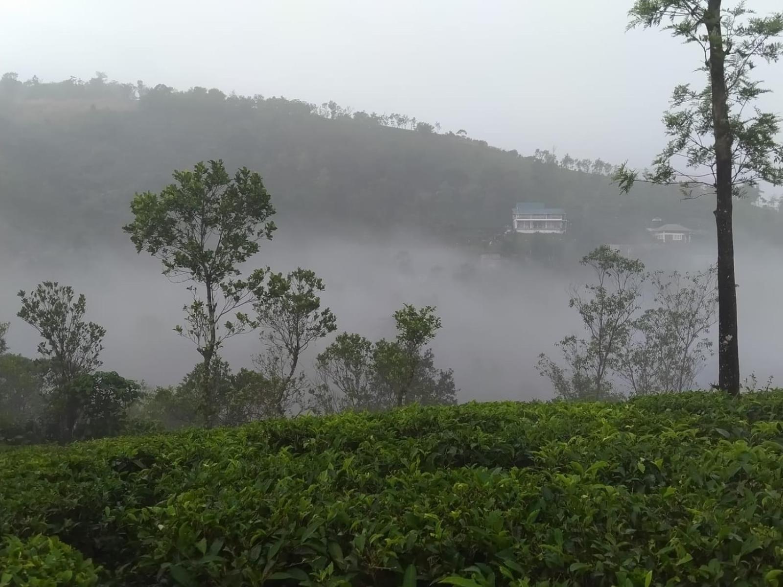 Tharayil Farm Stay 바가몬 외부 사진