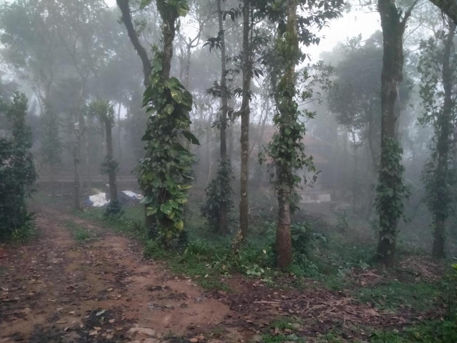 Tharayil Farm Stay 바가몬 외부 사진