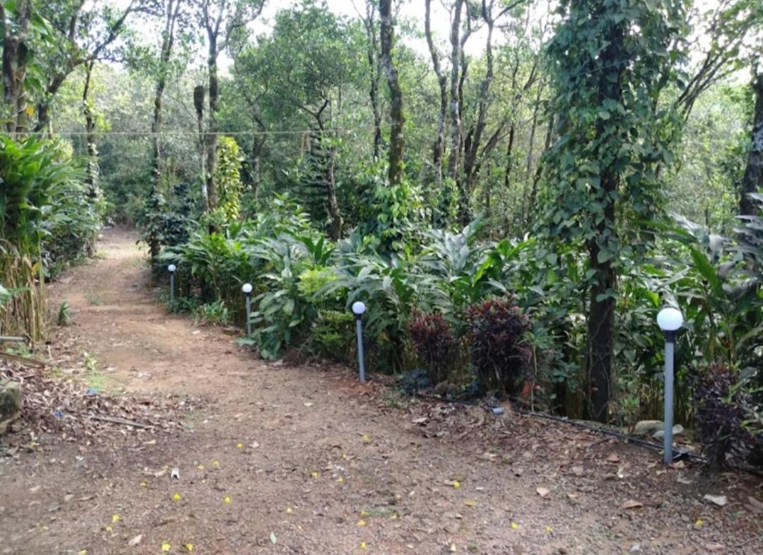 Tharayil Farm Stay 바가몬 외부 사진
