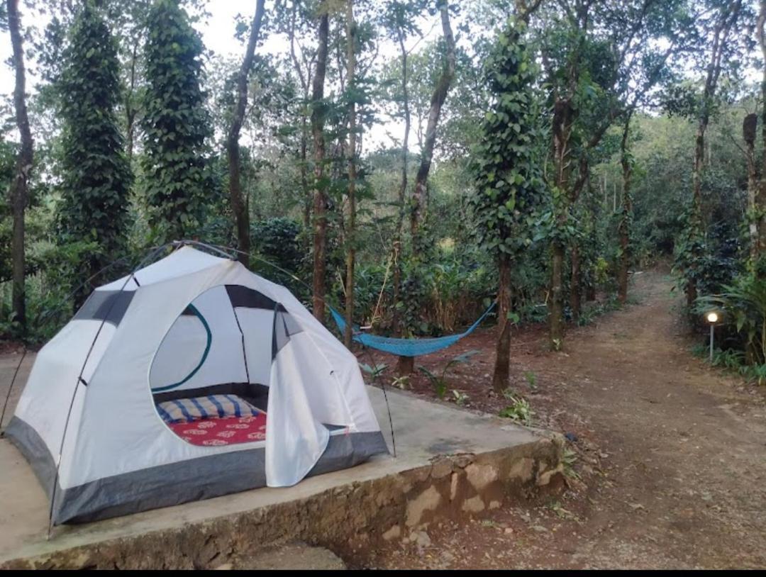 Tharayil Farm Stay 바가몬 외부 사진