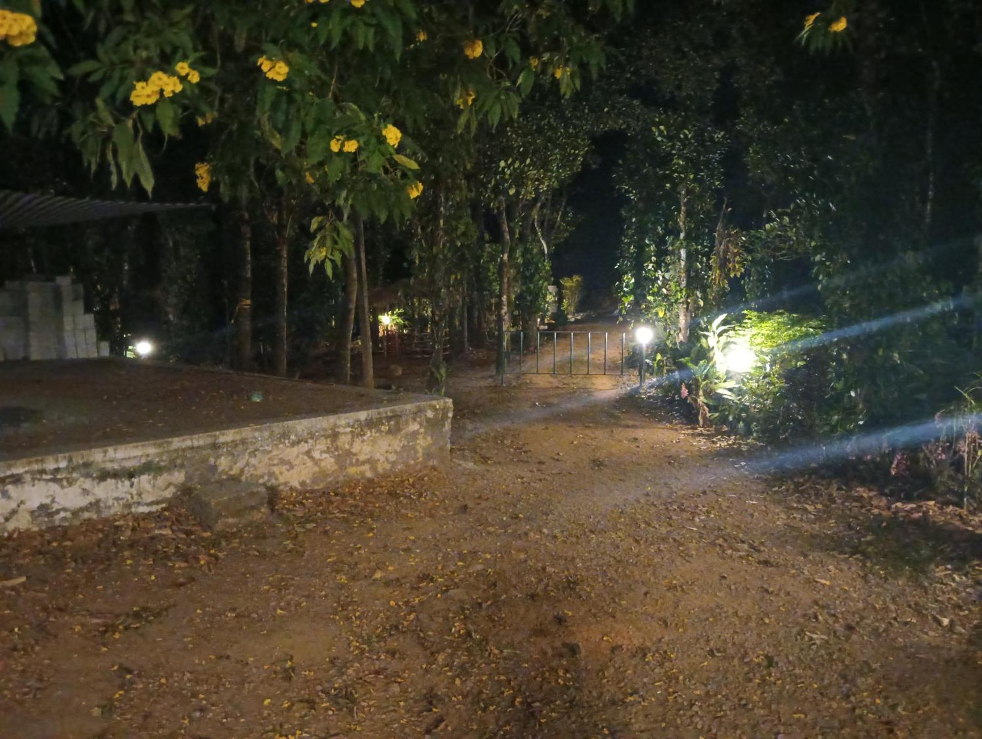 Tharayil Farm Stay 바가몬 외부 사진