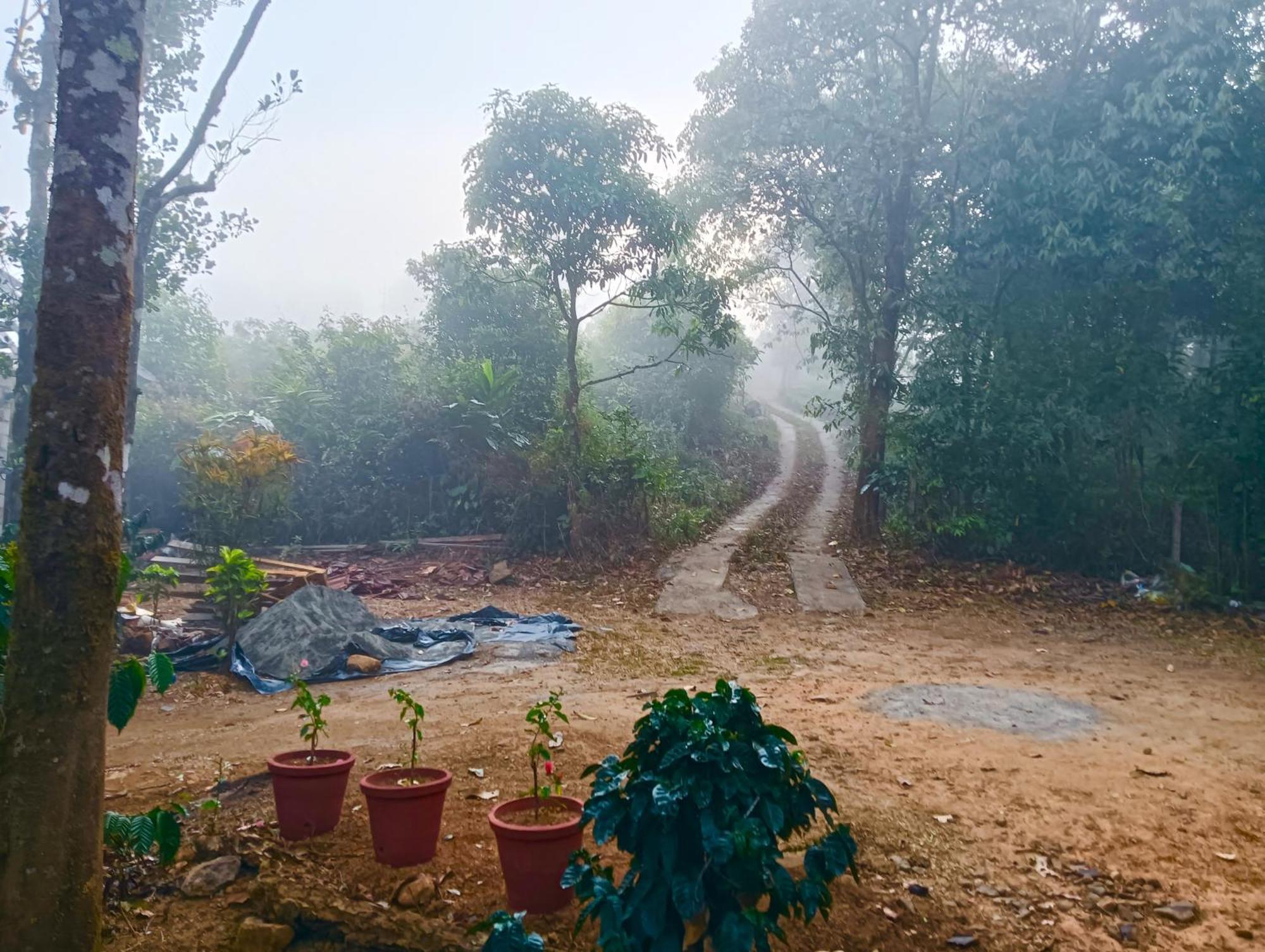 Tharayil Farm Stay 바가몬 외부 사진