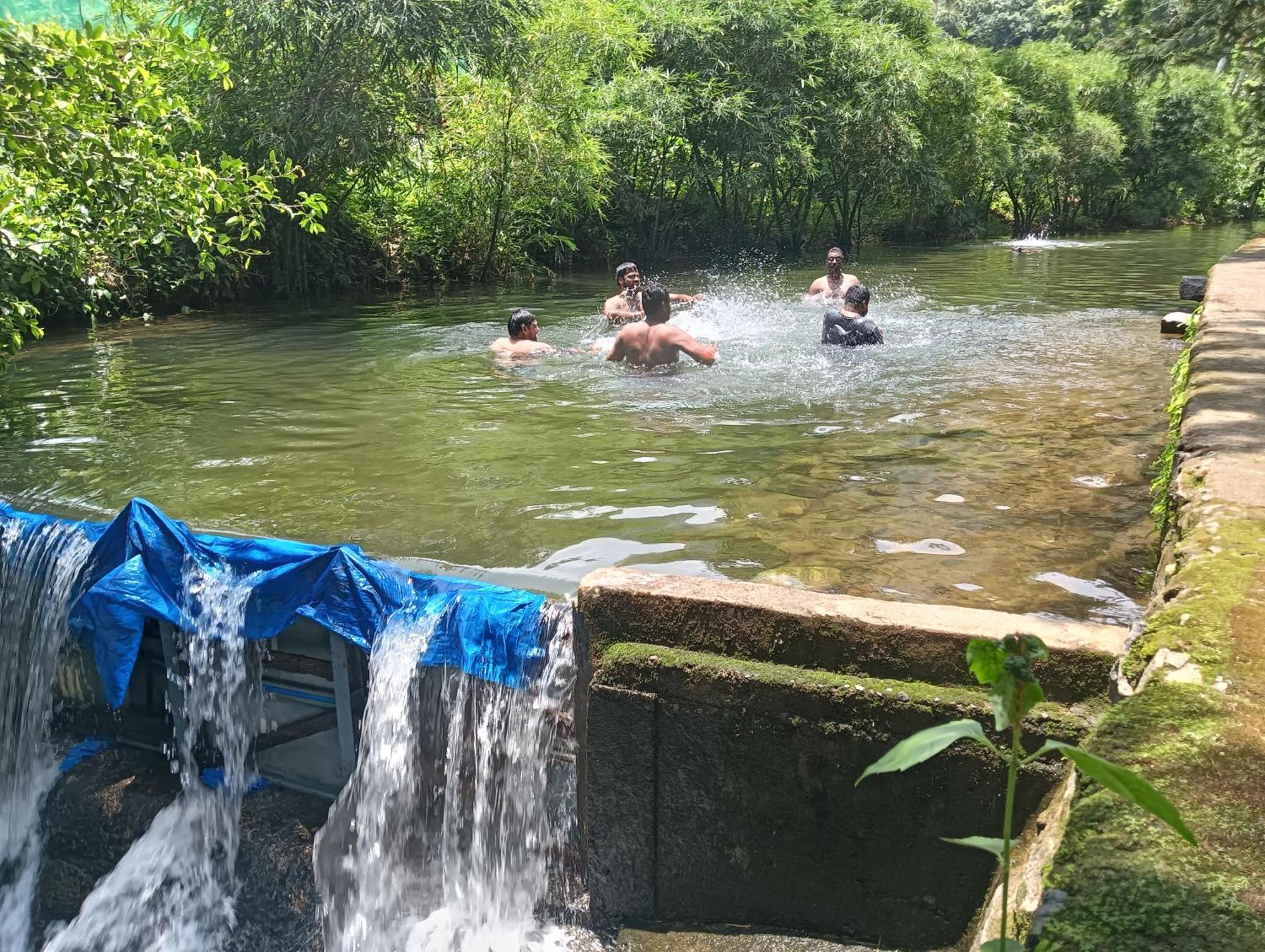 Tharayil Farm Stay 바가몬 외부 사진